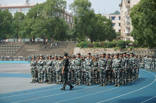 图片14 图片14
