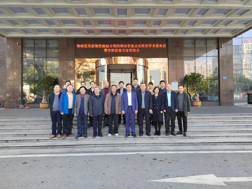 图片2 图片2