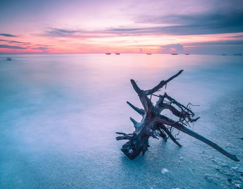 乡村如画